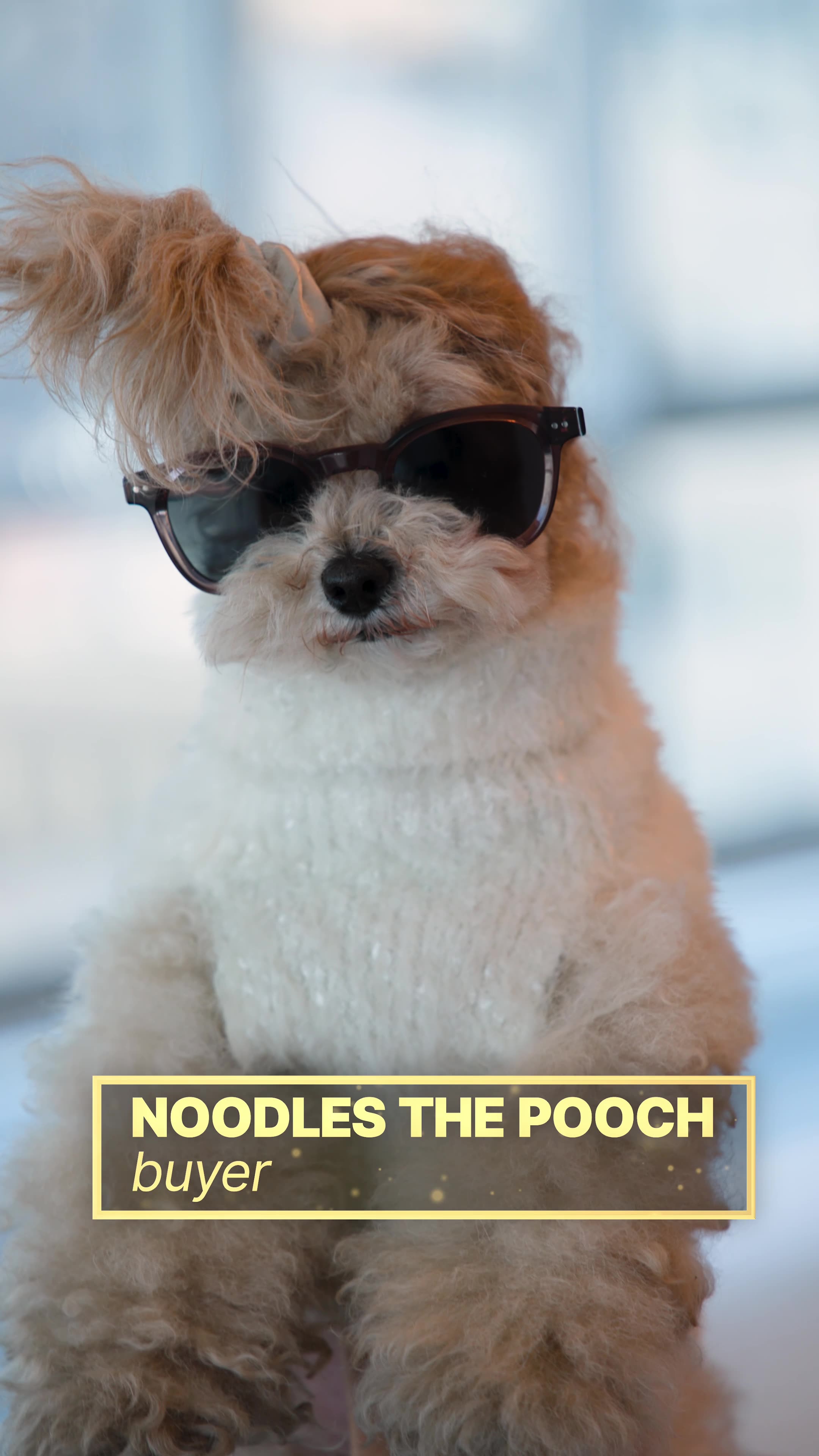 Selling Skylines — Noodles the Pooch, wearing sunglasses, labeled as a buyer